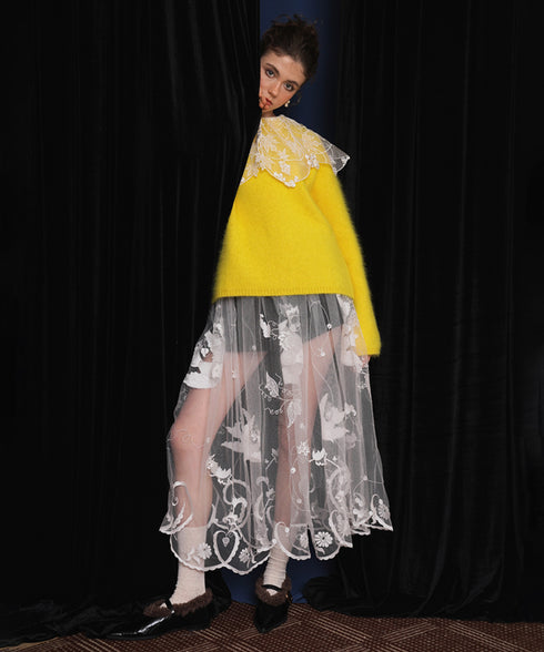 Sheer Embroidered Mesh Skirt
